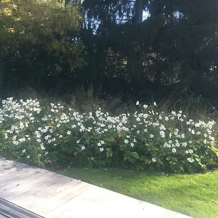 Les Glycines Couette-café Croix