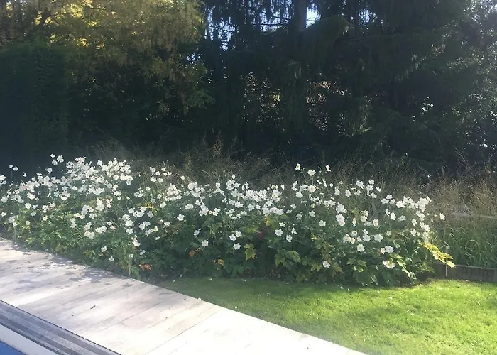 Les Glycines Couette-café Croix